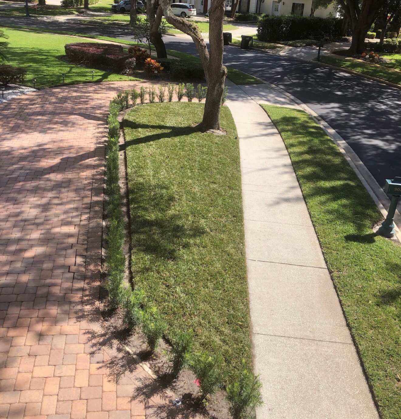 After Lobo Zoysia luxury sod installation in Lake Mary FL