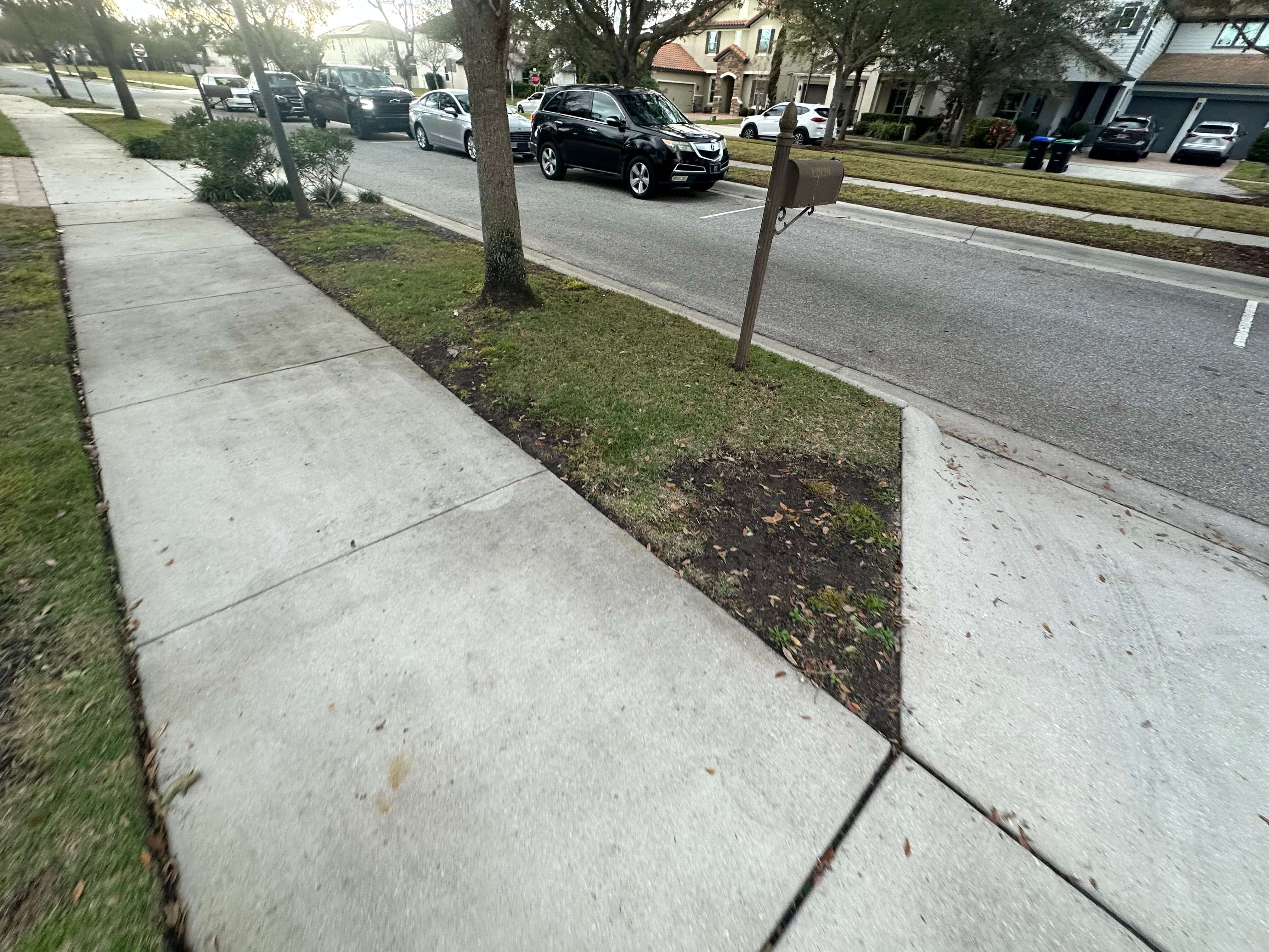 Before old lawn removal in Winter Garden Orlando