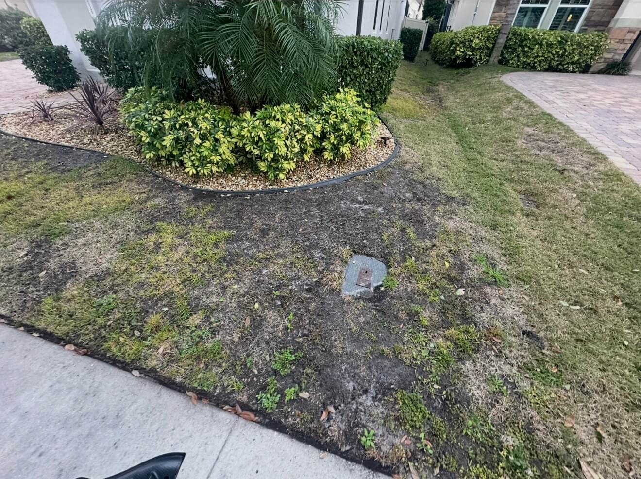 Before sod installation in Windermere FL showing brown patchy lawn