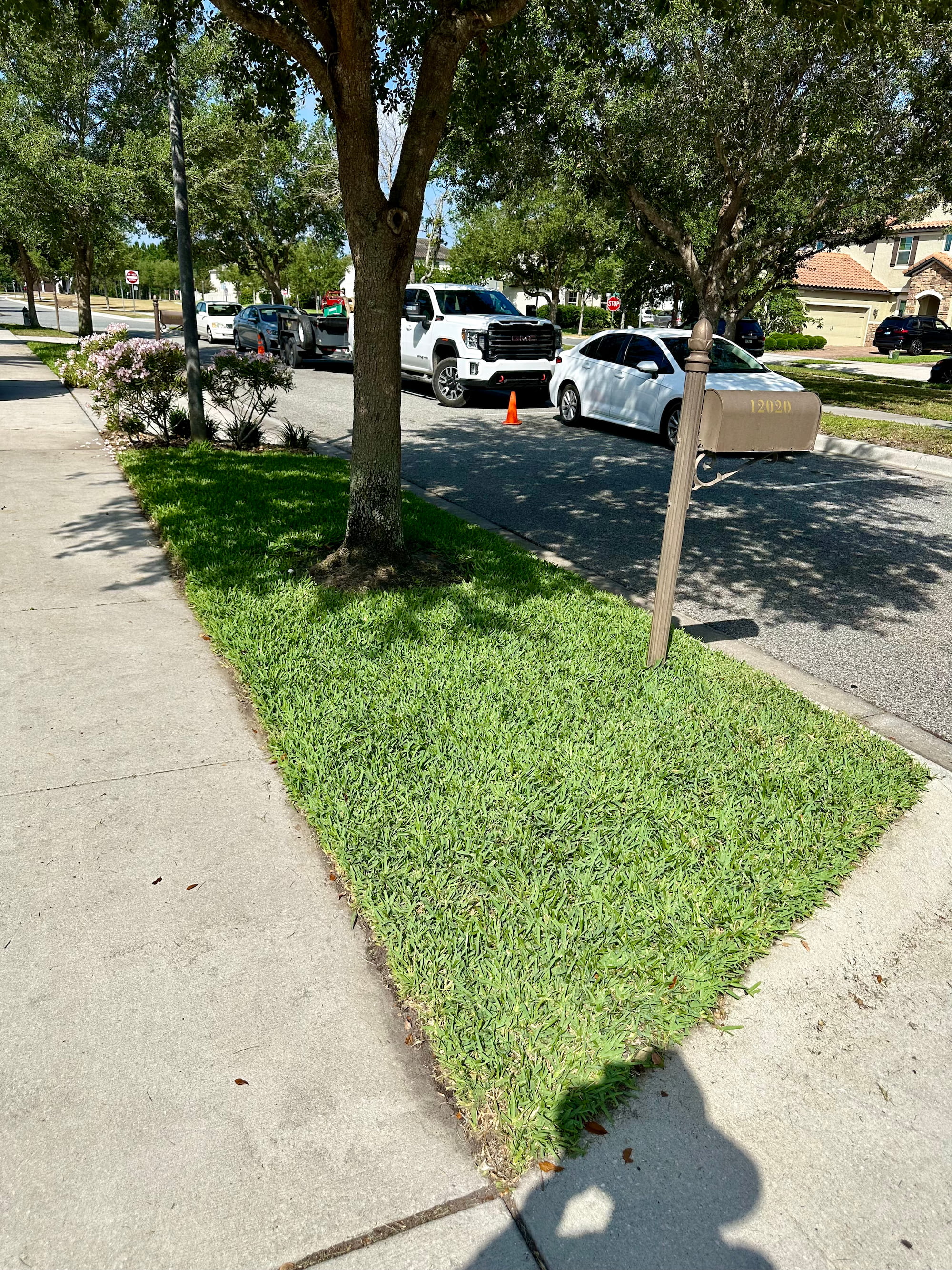 After St Augustine Cobalt sod installation in Winter Garden Orlando